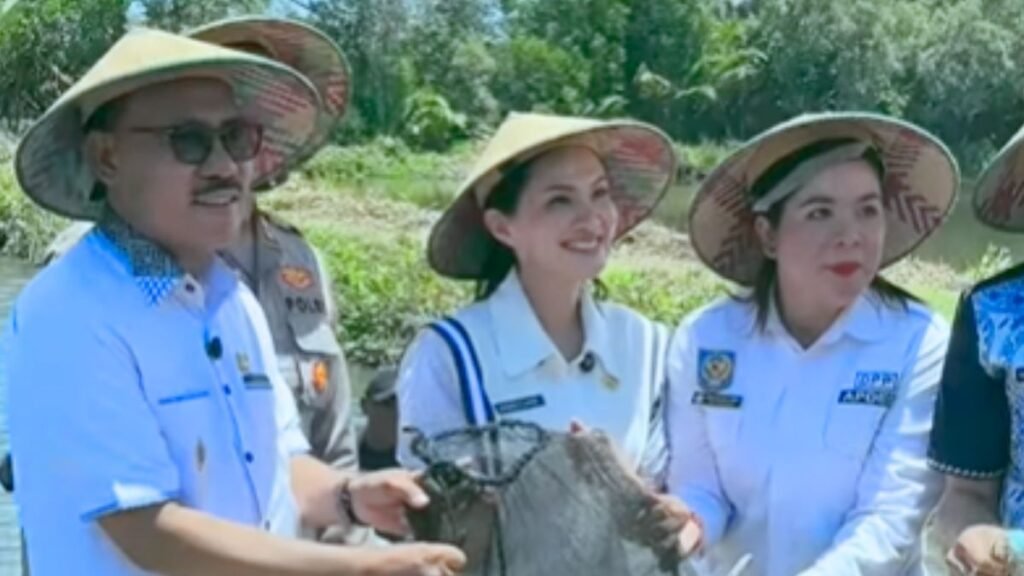 panen bandeng desa todowongi